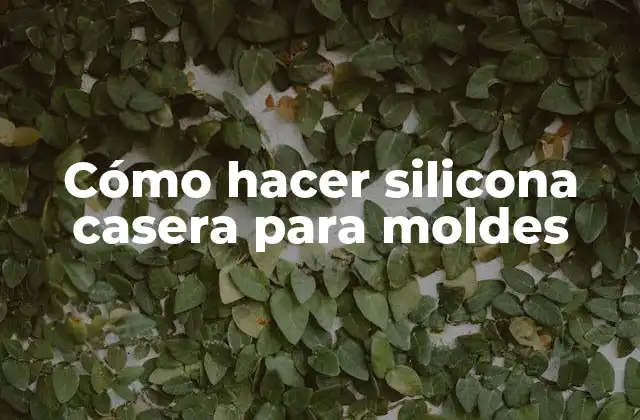 Cómo Hacer Silicona Casera para Moldes
