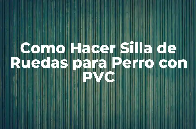 ¿Qué es una Silla de Ruedas para Perros con PVC?