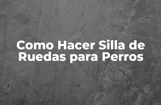 Como Hacer Silla de Ruedas para Perros