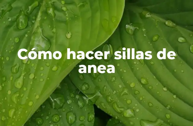 Cómo Hacer Sillas de Anea