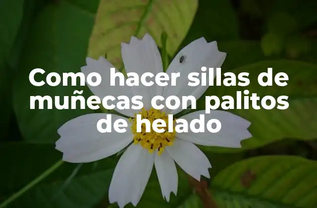 Como Hacer Sillas de Muñecas con Palitos de Helado 2 ¿Qué son las sillas de muñecas con palitos de helado?