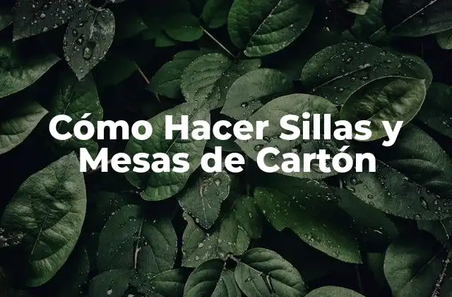 Cómo Hacer Sillas y Mesas de Cartón