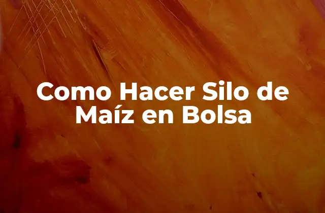 Como Hacer Silo de Maíz en Bolsa