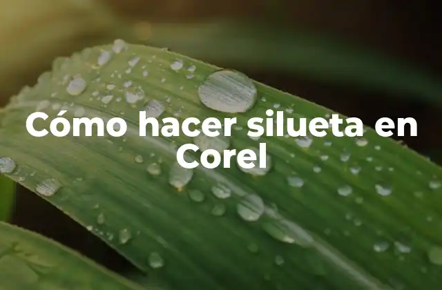 Cómo Hacer Silueta en Corel