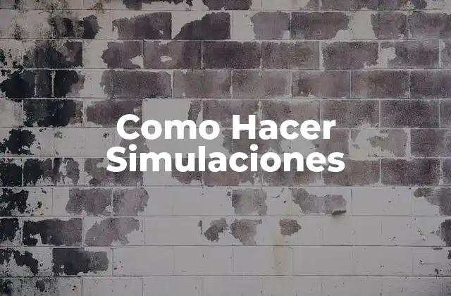 Como Hacer Simulaciones 2 ¿Qué es una Simulación?