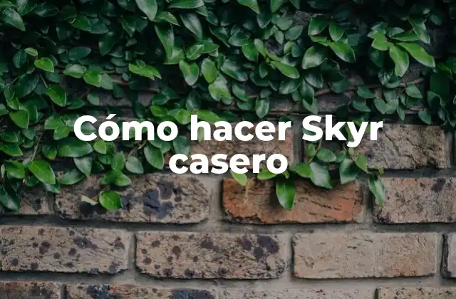 ¿Qué es Skyr y para qué sirve?