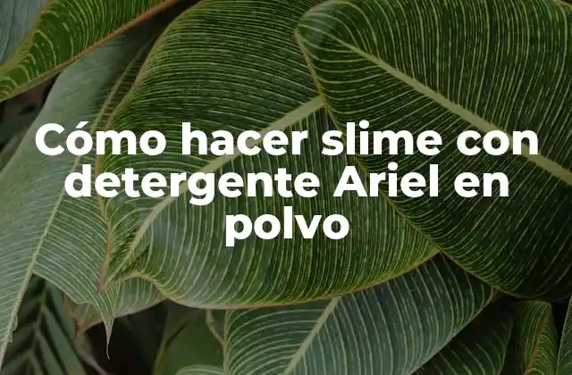 Cómo Hacer Slime con Detergente Ariel en Polvo