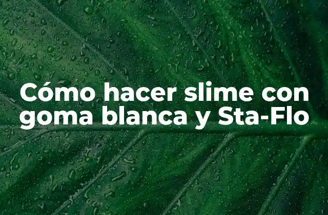 Cómo Hacer Slime con Goma Blanca y Sta-flo