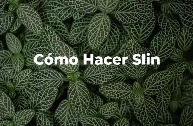 Cómo Hacer Slin