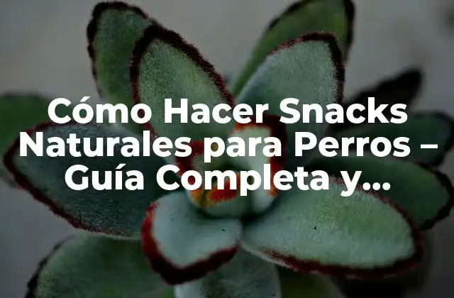 Cómo Hacer Snacks Naturales para Perros – Guía Completa y Saludable