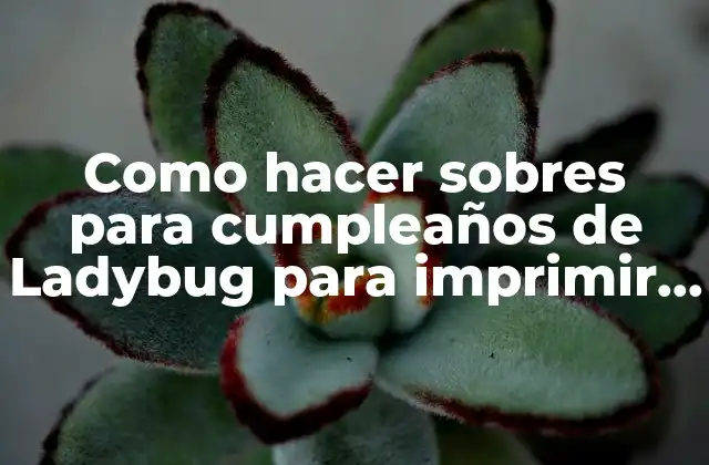 Como Hacer Sobres para Cumpleaños de Ladybug para Imprimir Gratis
