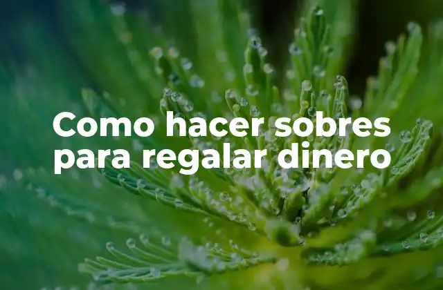 Como Hacer Sobres para Regalar Dinero