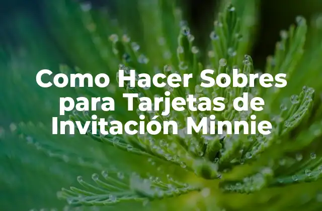 Como Hacer Sobres para Tarjetas de Invitación Minnie