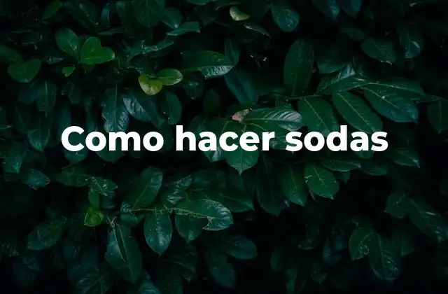 Como Hacer Sodas