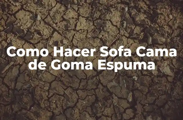 Como Hacer Sofa Cama de Goma Espuma 2 ¿Qué es un Sofa Cama de Goma Espuma?