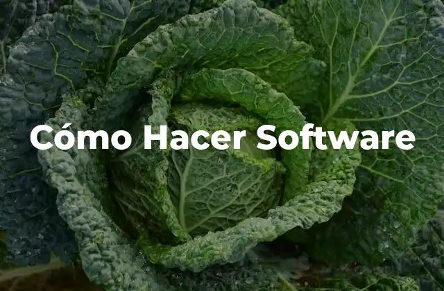 Cómo Hacer Software