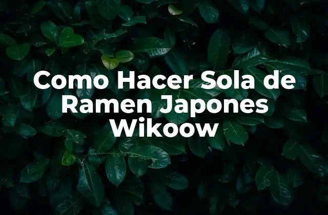 Como Hacer Sola de Ramen Japones Wikoow