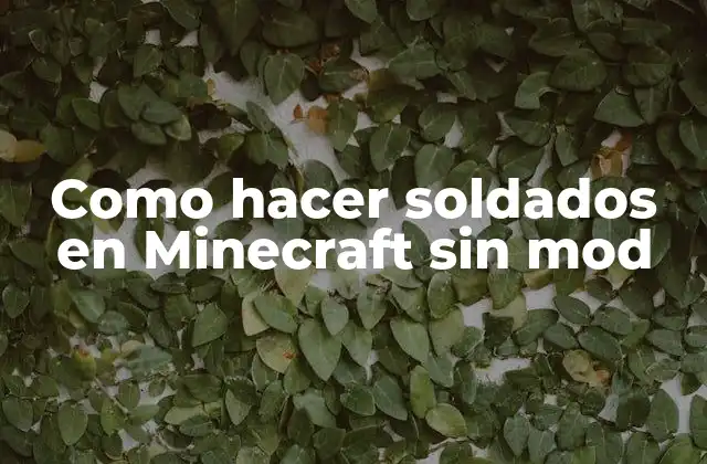 Como Hacer Soldados en Minecraft sin Mod