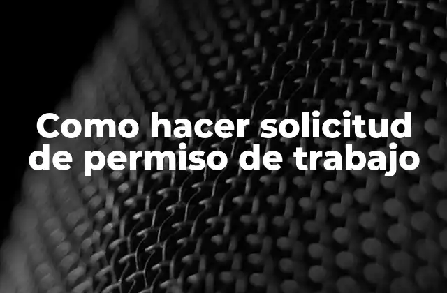 Como Hacer Solicitud de Permiso de Trabajo 2 Permiso de trabajo