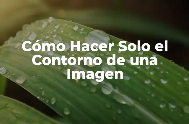 Cómo Hacer Solo el Contorno de una Imagen
