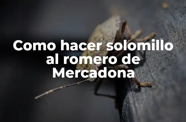 Como Hacer Solomillo Al Romero de Mercadona
