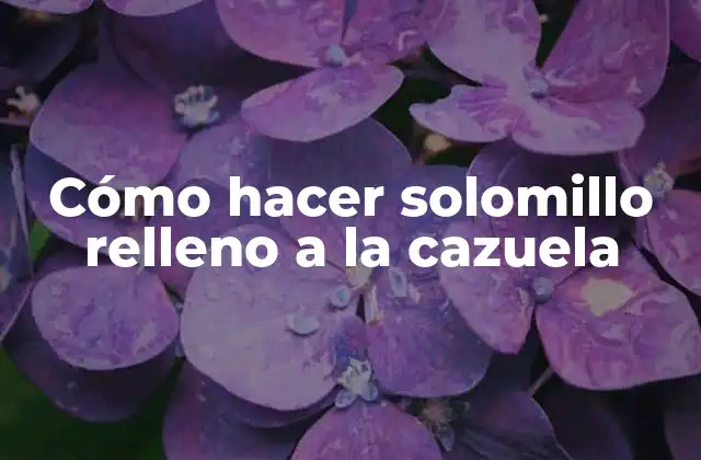 Cómo Hacer Solomillo Relleno a la Cazuela