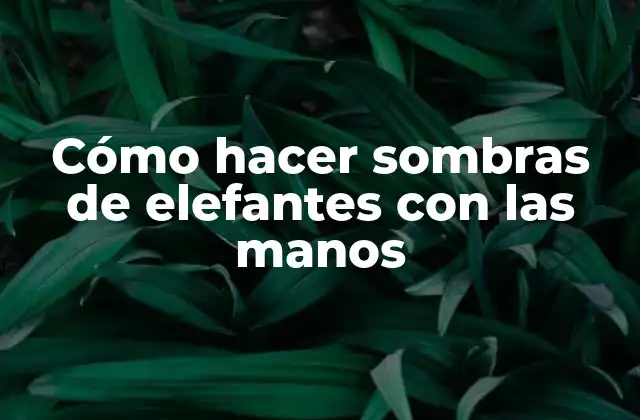 Cómo Hacer Sombras de Elefantes con las Manos