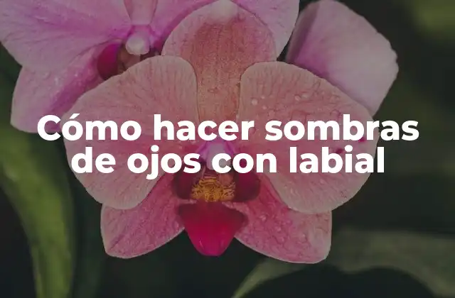 Cómo Hacer Sombras de Ojos con Labial