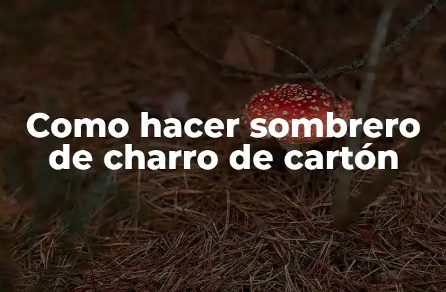 Como Hacer Sombrero de Charro de Cartón