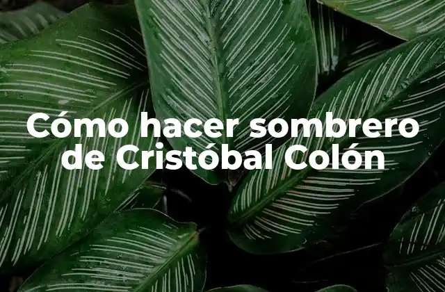 Cómo Hacer Sombrero de Cristóbal Colón
