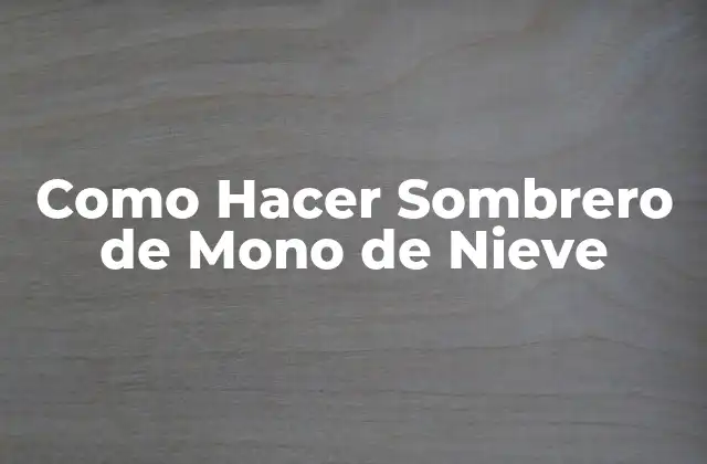 Como Hacer Sombrero de Mono de Nieve