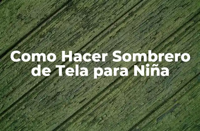 Como Hacer Sombrero de Tela para Niña