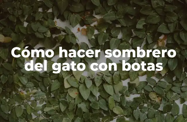 Cómo Hacer Sombrero Del Gato con Botas