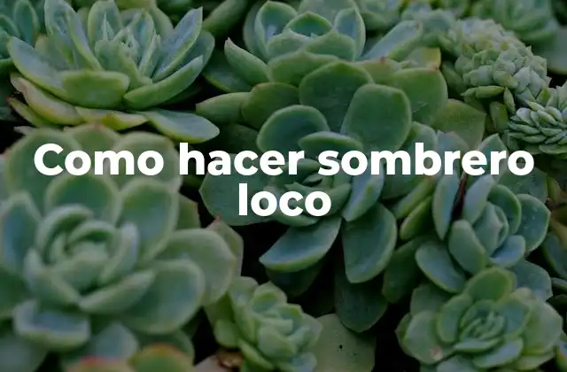 Como Hacer Sombrero Loco 2 Como hacer sombrero loco