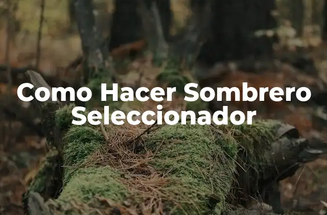 Como Hacer Sombrero Seleccionador