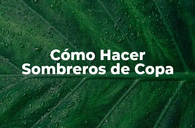 Cómo Hacer Sombreros de Copa