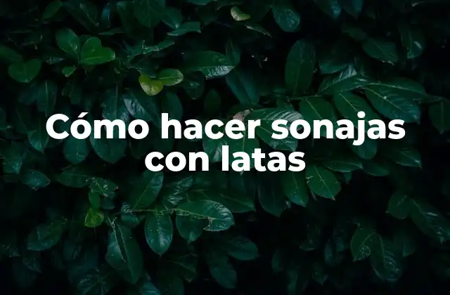 Cómo Hacer Sonajas con Latas
