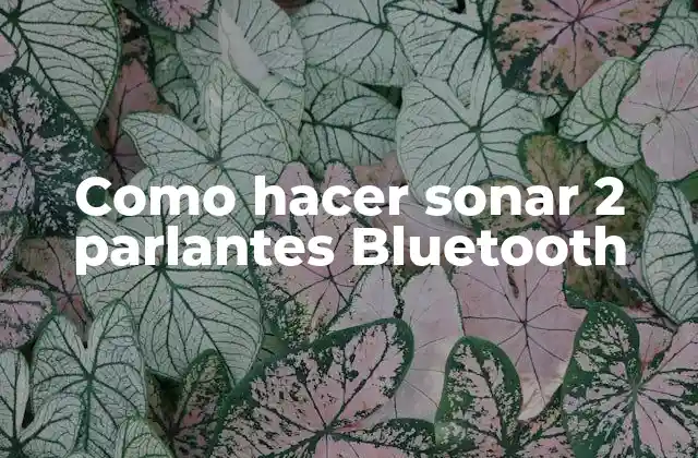 Como Hacer Sonar 2 Parlantes Bluetooth