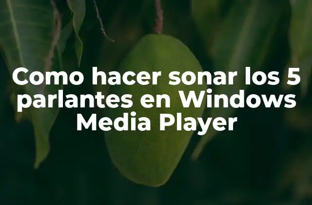 Como Hacer Sonar los 5 Parlantes en Windows Media Player