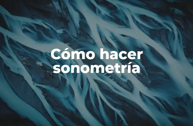 Cómo Hacer Sonometría