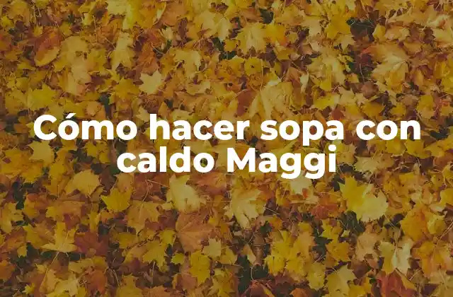 Cómo Hacer Sopa con Caldo Maggi