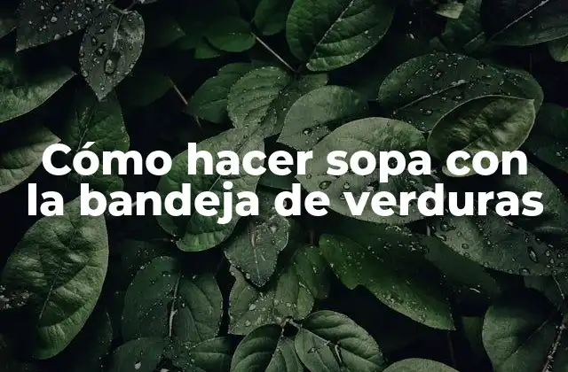 Cómo Hacer Sopa con la Bandeja de Verduras