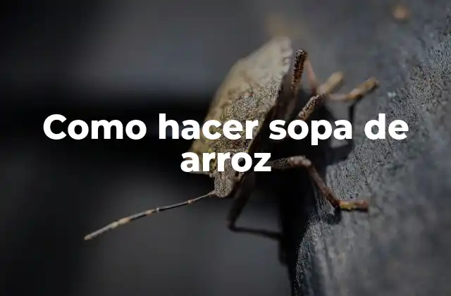 Como Hacer Sopa de Arroz