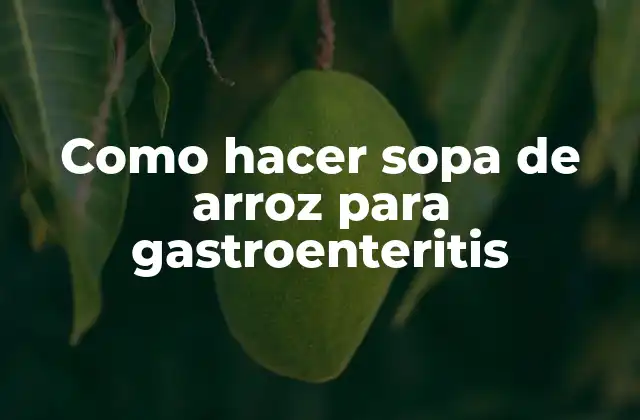 ¿Qué es una sopa de arroz para gastroenteritis?
