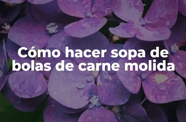 Cómo Hacer Sopa de Bolas de Carne Molida