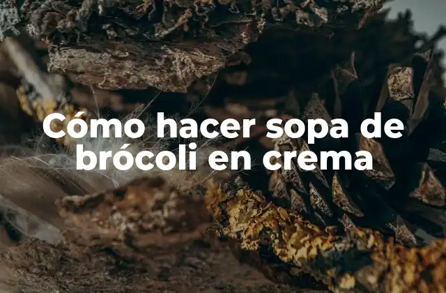 Cómo Hacer Sopa de Brócoli en Crema