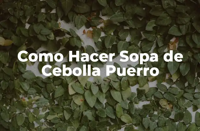 Como Hacer Sopa de Cebolla Puerro