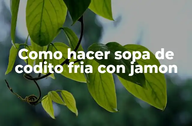 Como Hacer Sopa de Codito Fria con Jamon 2 ¿Qué es la sopa de codito fria con jamon?