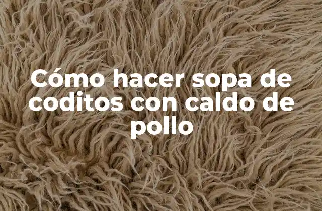 Cómo Hacer Sopa de Coditos con Caldo de Pollo