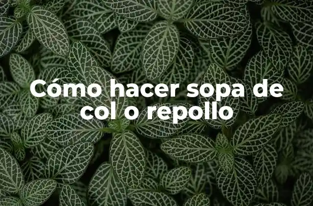 ¿Qué es la sopa de col o repollo y para qué sirve?